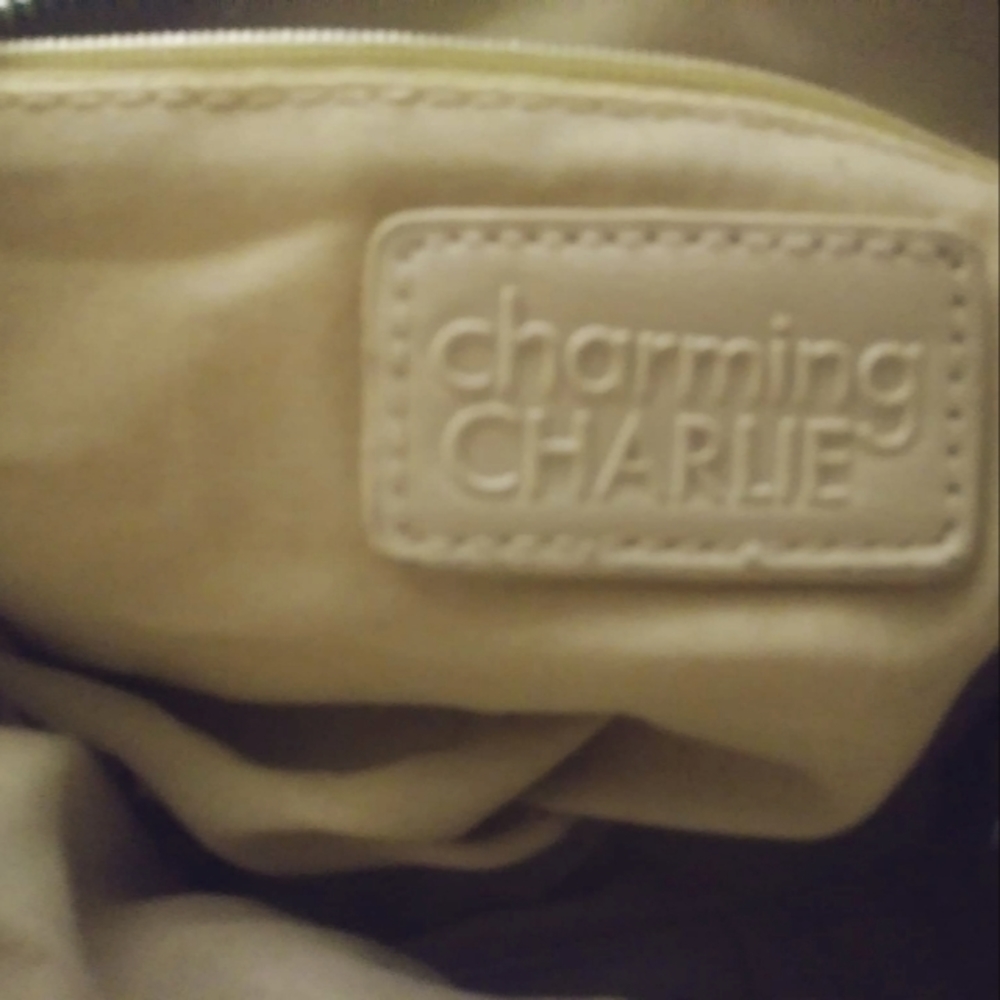 Charming Charlie purse